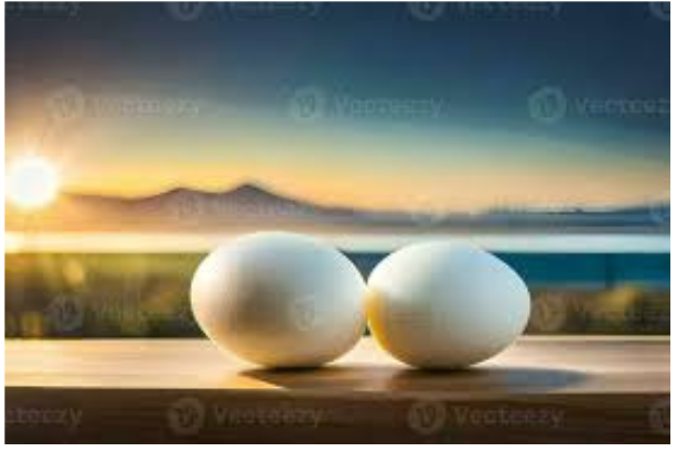 eggs on a table during sunrise